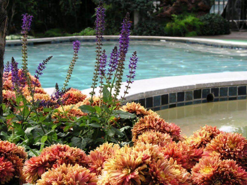 Roman Spa Resort Calistoga Dış mekan fotoğraf